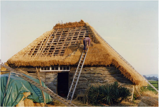 Re-thatching Roof