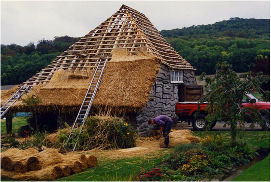 Re-thatching Roof