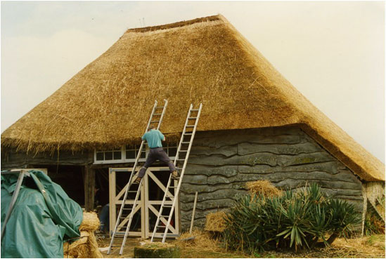 New Thatched Roof