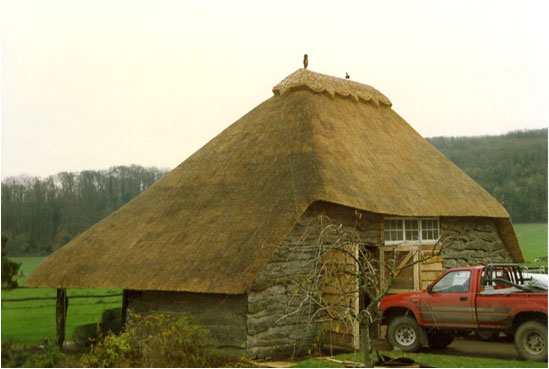 New Ridge on Thatched Roof